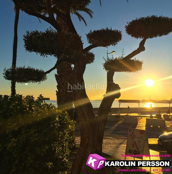 Foto 3b58c53d-5a41-4748-a4c8-148bca3210a4. Planta baixa a Calas Santiago Bernabeu Santa Pola