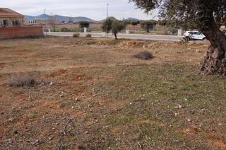 Fondo rustico in Calle bailen 4