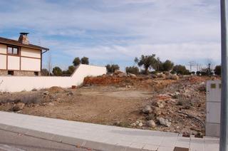 Fondo rustico in Bailen 10