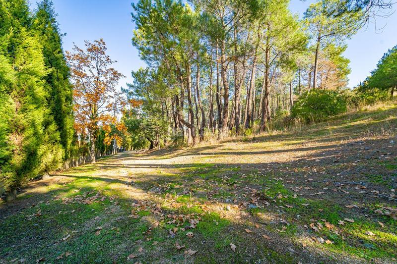 Foto 2723bb34-156d-445b-9b29-38259398f698. Mas avec chauffage piscine dans Guadarrama