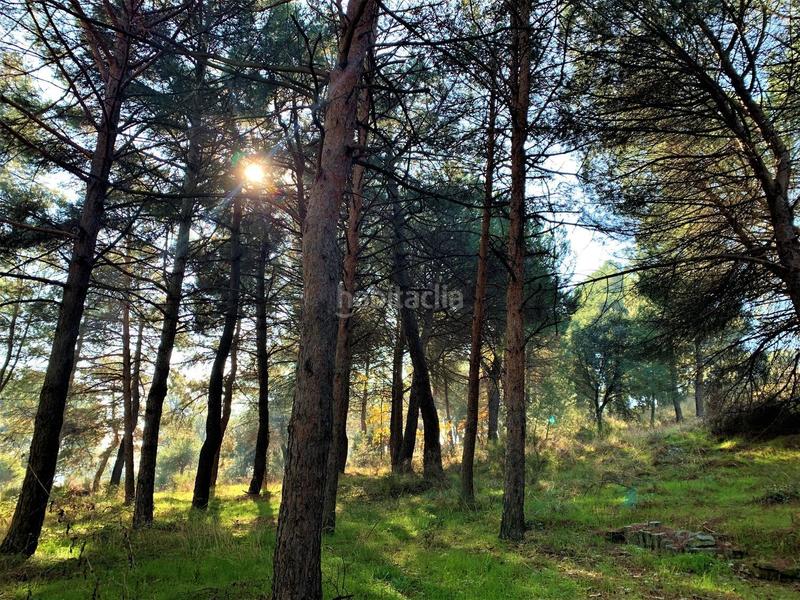 Foto 4c014068-e8c8-4f4f-9076-b6f5038f8d14. Masia amb calefacció piscina a Guadarrama