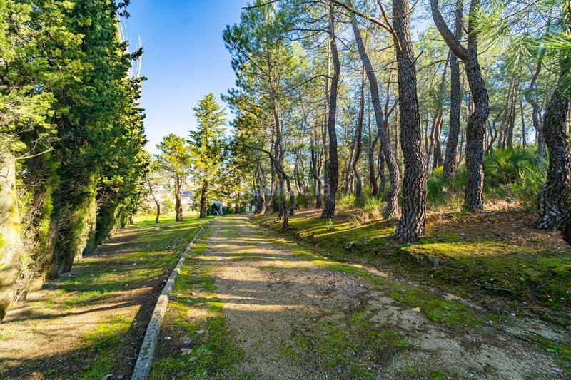 Foto d7f729e9-8e9e-40c1-a31f-e094bd59ba5d. Masia amb calefacció piscina a Guadarrama
