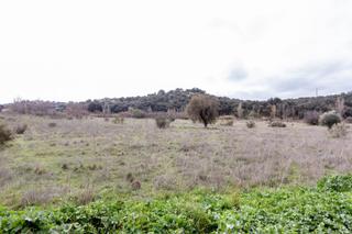 Terreny residencial a Méntrida. Terreno para vender agrario 34000 metros cuadrados