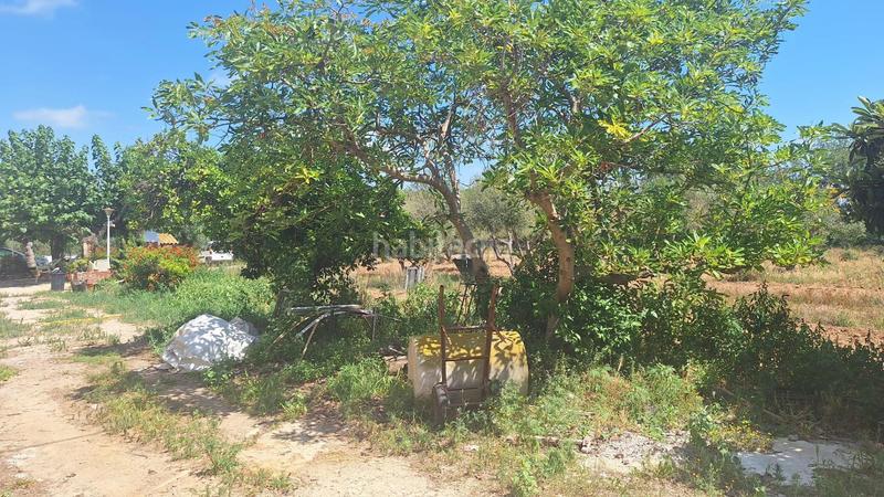 Foto 989c693d-035c-4020-8747-477d64e57380. Casale con piscina in Ponent Reus