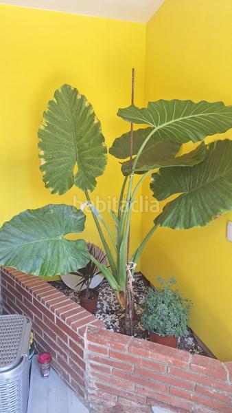 Foto eb60667e-406d-425a-9522-e4fcf50e888d. Casale con piscina in Ponent Reus