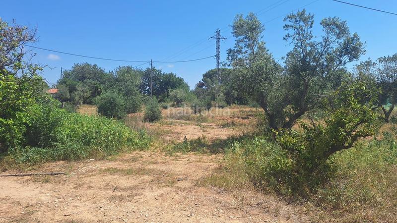 Foto 2024d8b8-f75e-4df7-ab9f-ff5bd250d1c4. Country house with pool in Ponent Reus