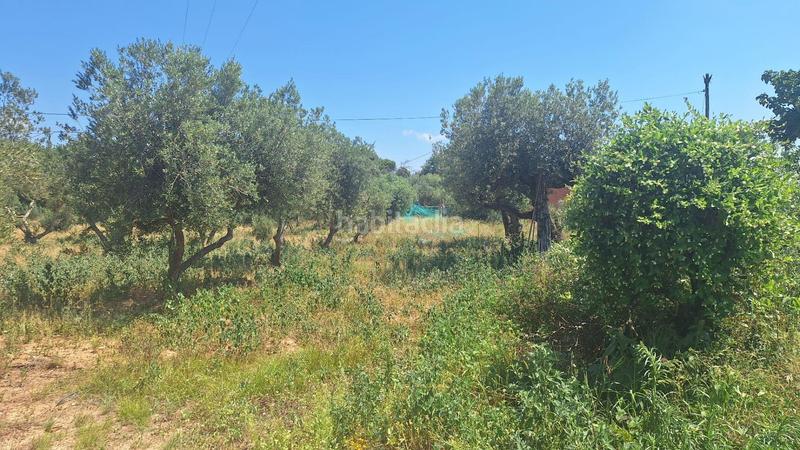 Foto 2470a918-0649-4cd4-98e2-147baee5e478. Country house with pool in Ponent Reus