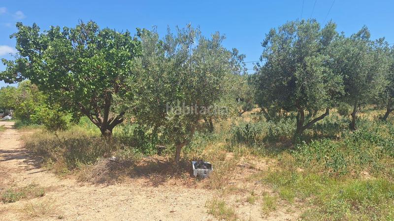 Foto 6c13c918-306c-4732-a574-8253414915e8. Country house with pool in Ponent Reus