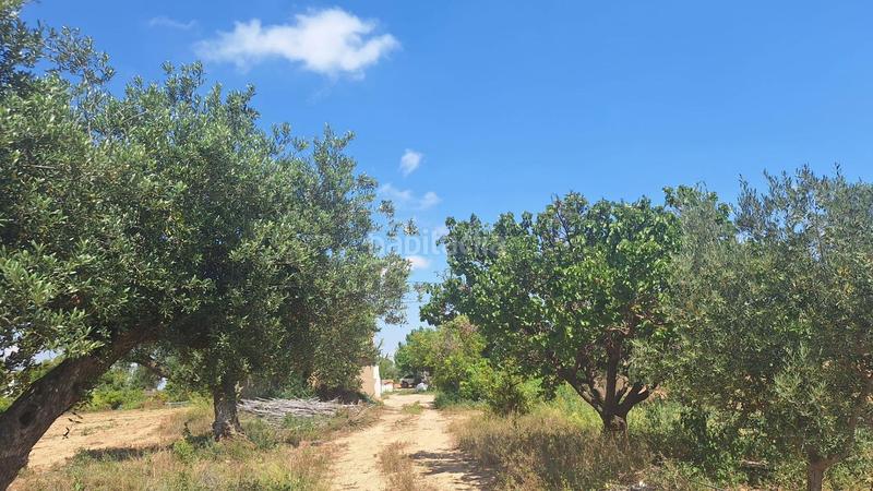 Foto f1bc86b0-6f12-4ca5-99b4-a3ccf078b6f9. Country house with pool in Ponent Reus