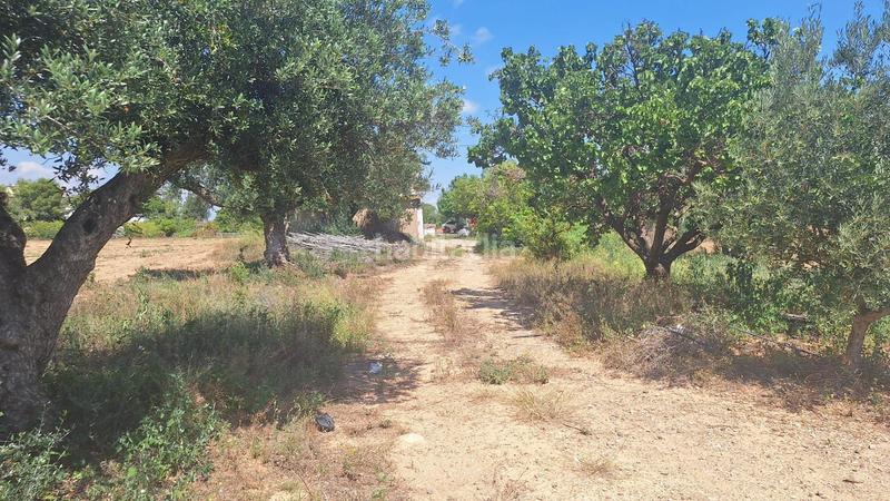 Foto 52bd7326-f4fe-4d50-8354-b05ccf6cdfdb. Mas avec piscine dans Ponent Reus