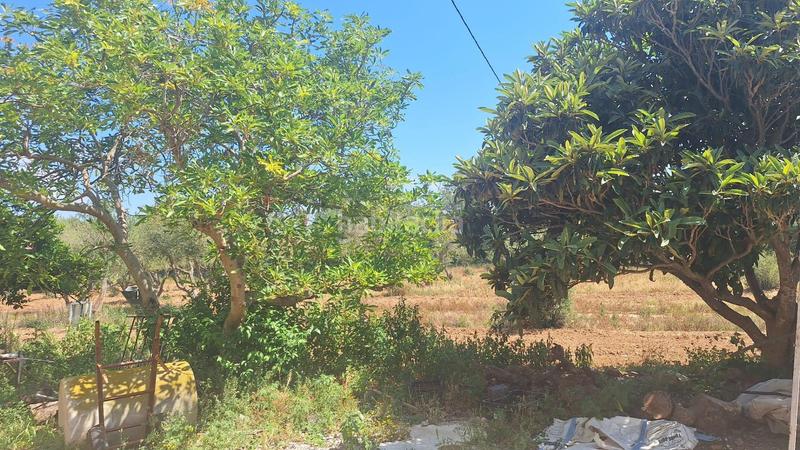 Foto dabefcb8-a527-45ef-8f98-f131298eafff. Mas avec piscine dans Ponent Reus