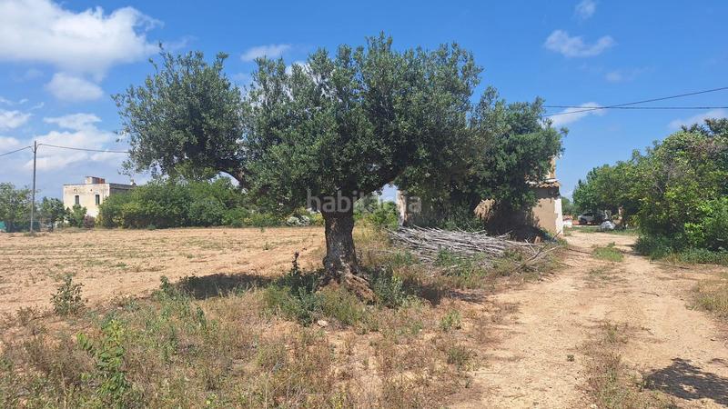 Foto 51c20934-74f5-4981-a135-a7415c37a641. Masía en Ponent Reus