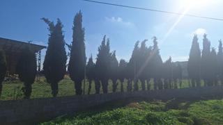 Fabrikhalle in Quintanar de la Orden