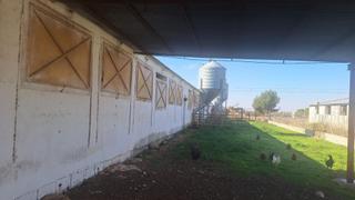 Fabrikhalle in Quintanar de la Orden