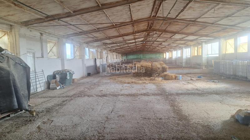 Foto 59720ef4-1931-4c70-b7a1-09c8abfbc587. Nave industrial en Quintanar de la Orden