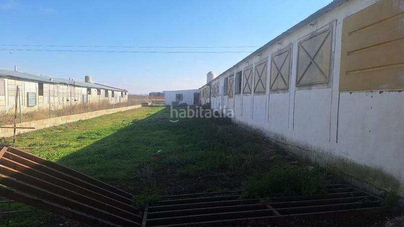 Foto 6a5a8ab1-2539-425c-a67c-9d9c334c6712. Nave industrial en Quintanar de la Orden