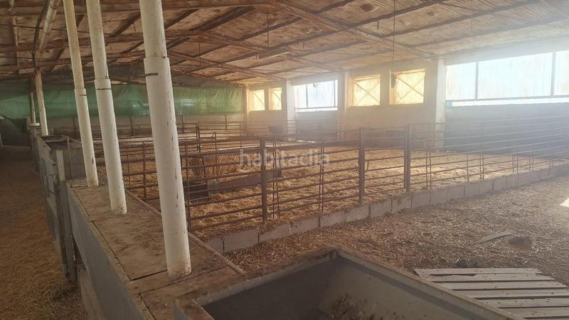 Foto 762c1678-2727-4459-be57-01af4fc865af. Nave industrial en Quintanar de la Orden