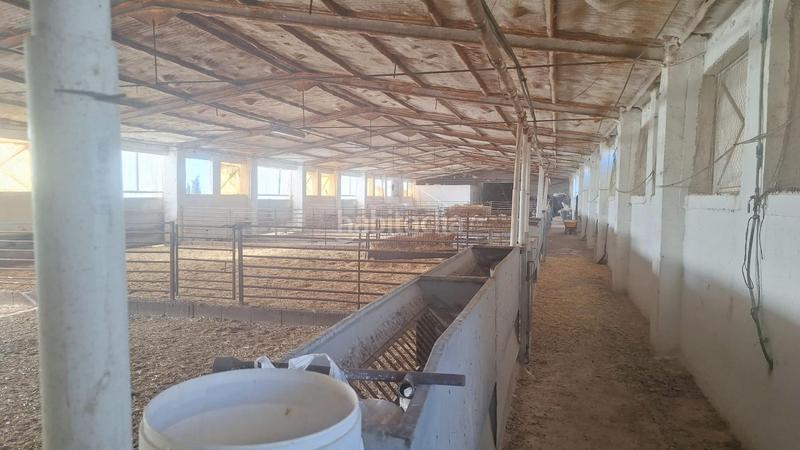 Foto 8a04eeef-4445-46b6-9e19-f772f190ce3e. Nave industrial en Quintanar de la Orden