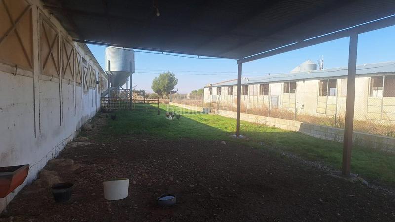 Foto 8a6d3fe2-c1d1-4bc7-8d62-6b7ab9a3cda4. Nave industrial en Quintanar de la Orden