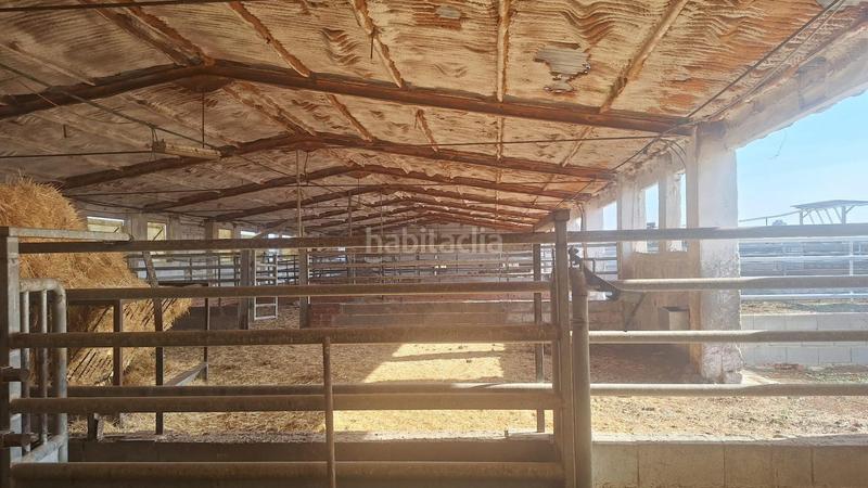 Foto a2924ea0-4e32-4ac3-8c83-a63214fa9275. Nave industrial en Quintanar de la Orden