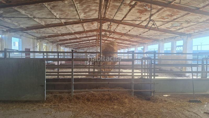 Foto d56091ad-2dce-47c5-8d06-f7cbb57620b5. Nave industrial en Quintanar de la Orden