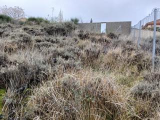 Residential Plot in Trijueque. Parcela urbana en el mirador del cid