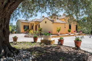Masia  Valgrande. En venta exclusiva  impresionante finca de 4 hectáreas en valgra