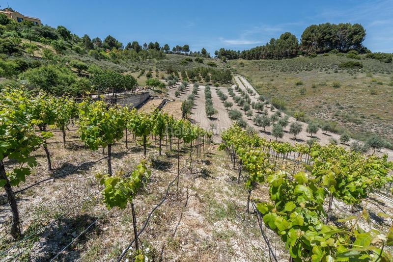 Foto 3794e26a-c224-427e-a4c0-1bf2dc83167d. Mas avec chauffage parking piscine dans Chinchón