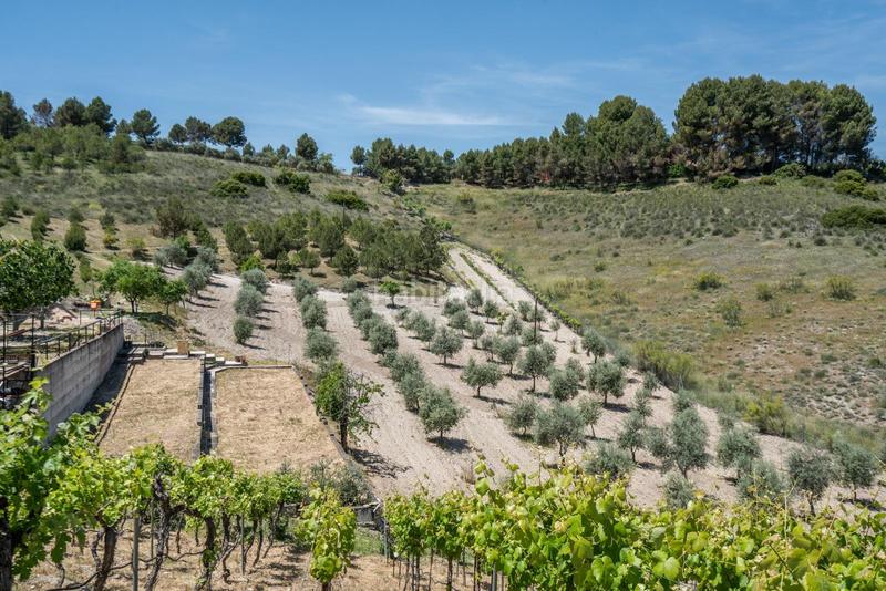 Foto d0593bd4-4c84-4371-84c4-957ba0a16263. Mas avec chauffage parking piscine dans Chinchón
