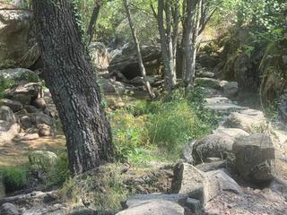 Maison jumelée à Lanzahíta. En venta estupendo chalet adosado totalmente reformado en lanzah