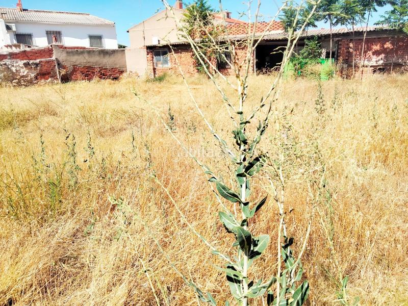 Foto 70768469-0cb4-4ed7-8528-f31ec3af4d2b. Casa amb calefacció a Lillo