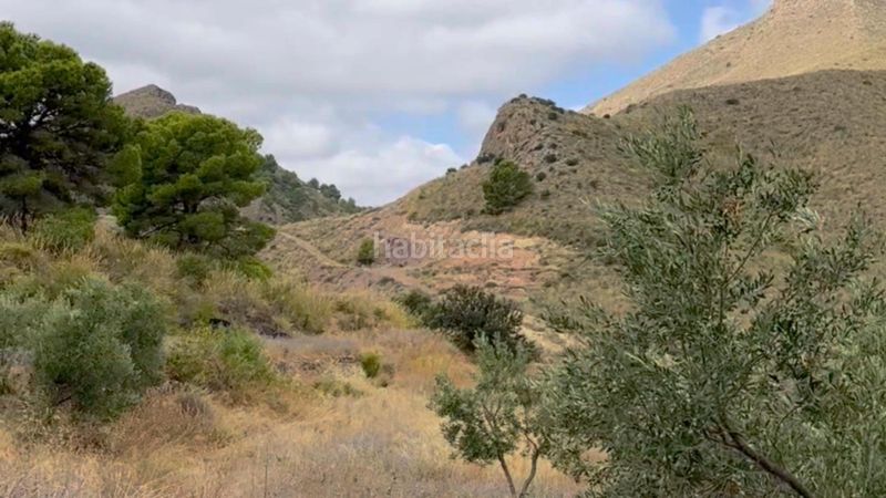 Foto 1775484f-90f5-4c6b-8837-77c8380a45fc. Masia a La Hoya Lorca