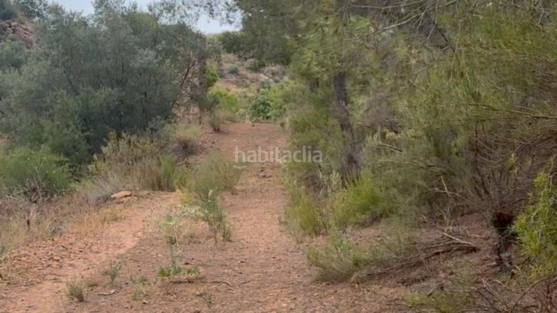 Foto 3c9f4e76-509d-45bf-b31b-05c85ad3453d. Masia a La Hoya Lorca