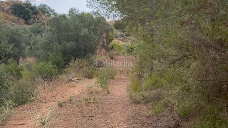 Foto 4efe38b4-ab9a-4aa3-b11f-99e36c6e9525. Masia a La Hoya Lorca