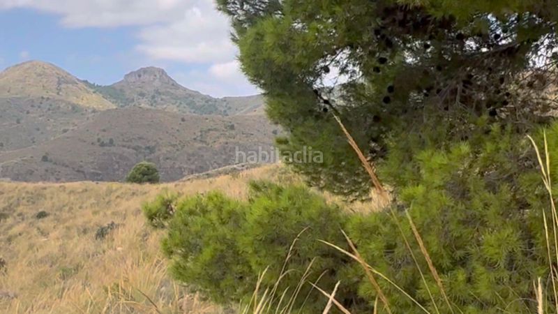 Foto 5fdde9b0-193f-41b3-ac61-c7ff52972b4b. Masia a La Hoya Lorca
