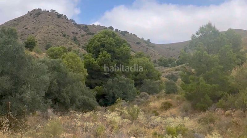 Foto 68a28b9e-f6d7-4ff1-b659-2414e6da6529. Masia a La Hoya Lorca