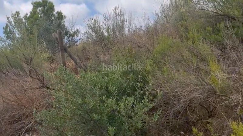 Foto 8b22cf3b-b269-441d-8938-3e4f021e53bd. Masia a La Hoya Lorca