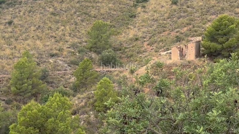 Foto a37b0a5c-2dbb-4090-ad87-739502fd7f21. Masia a La Hoya Lorca