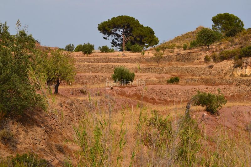 Foto c7c93103-0087-4868-a994-daf21640f591. Masia a La Hoya Lorca