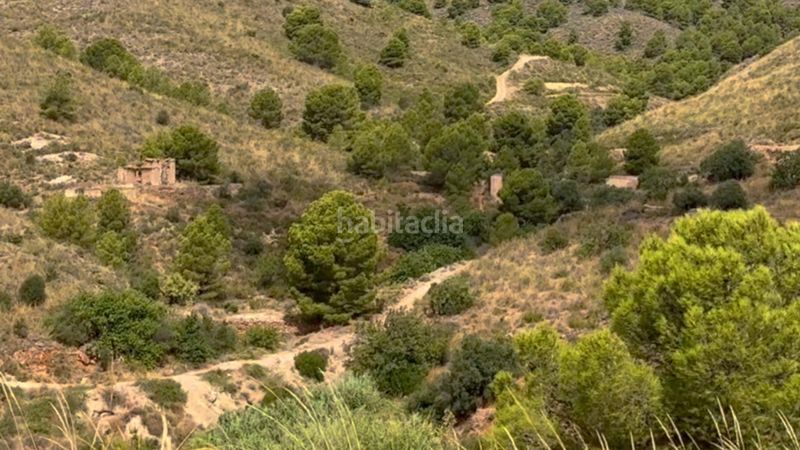 Foto cc496b31-2988-47e3-a408-1a0291d515c0. Masia a La Hoya Lorca