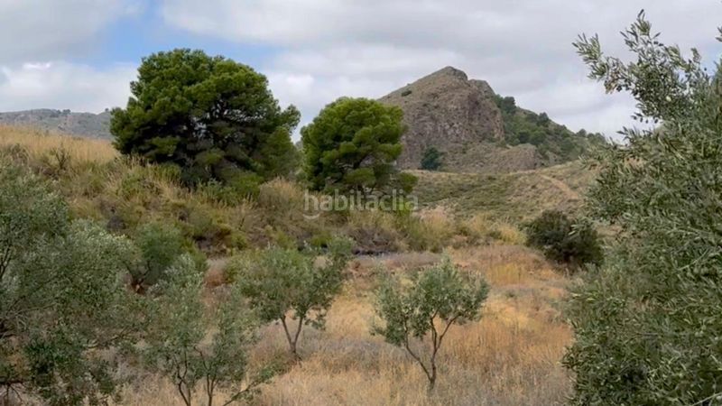 Foto d4ceea9d-1d07-4373-90cf-3dbe0912f57f. Masia a La Hoya Lorca