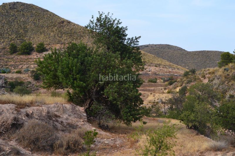 Foto ee1595b9-70fe-48f2-bad1-6427cdb189ae. Masia a La Hoya Lorca