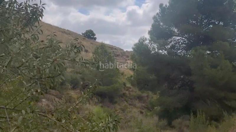 Foto 16bdf869-acf9-435f-8977-40330db1df12. Mas dans La Hoya Lorca