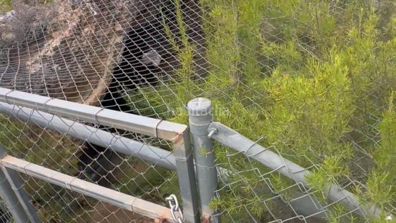 Foto 1dd8d851-2bbe-401f-88a8-6a29af991351. Mas dans La Hoya Lorca