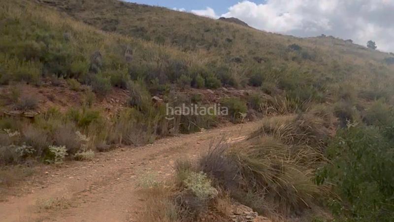 Foto 4cd8759f-cb62-475c-819b-0c8695502b95. Mas dans La Hoya Lorca