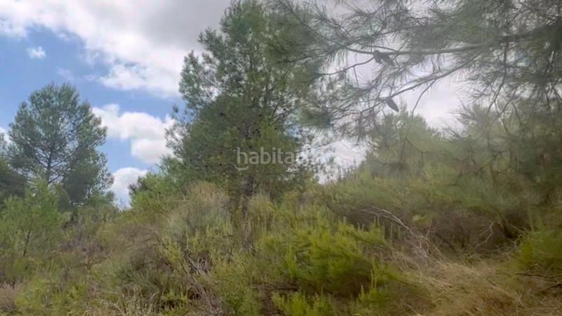 Foto 4d4e4481-58e4-46be-bce3-5ccb6500271c. Mas dans La Hoya Lorca