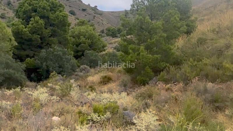 Foto 811c29bf-ee15-4a6b-8e6f-307d93f2a676. Mas dans La Hoya Lorca