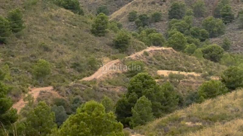 Foto 8ec1c60d-bd43-4738-8f2c-e1943159626c. Mas dans La Hoya Lorca