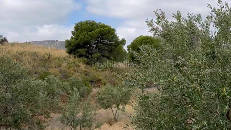 Foto 9bfb664a-d321-4b5a-82a8-37e218d51c4a. Mas dans La Hoya Lorca