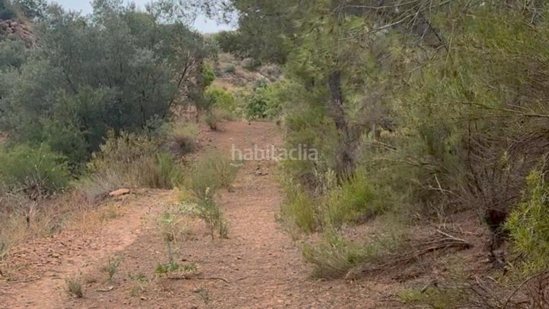 Foto a1ddce9a-5c50-4639-bfee-df6bb82b0343. Mas dans La Hoya Lorca